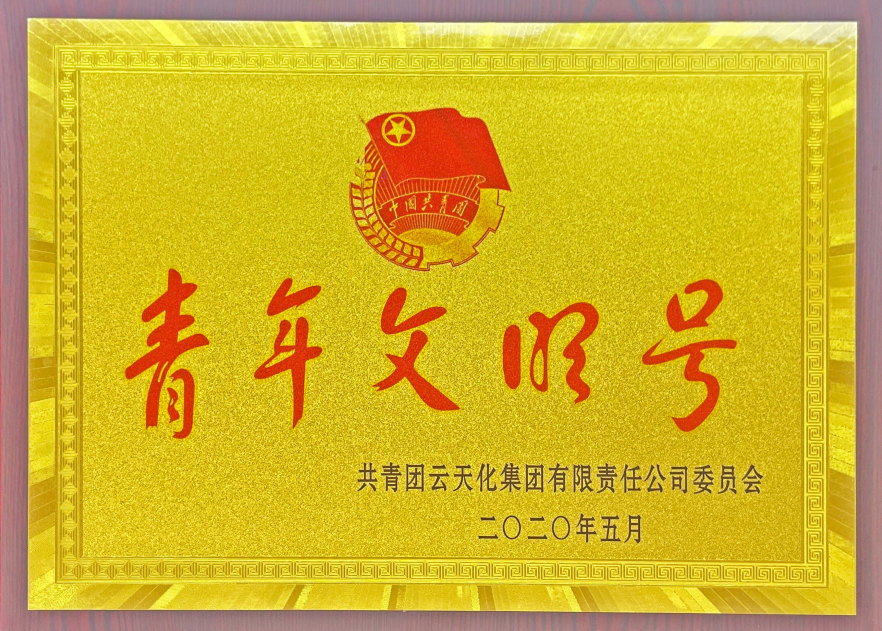 農(nóng)資-2020-集團授予“青年文明號”榮...